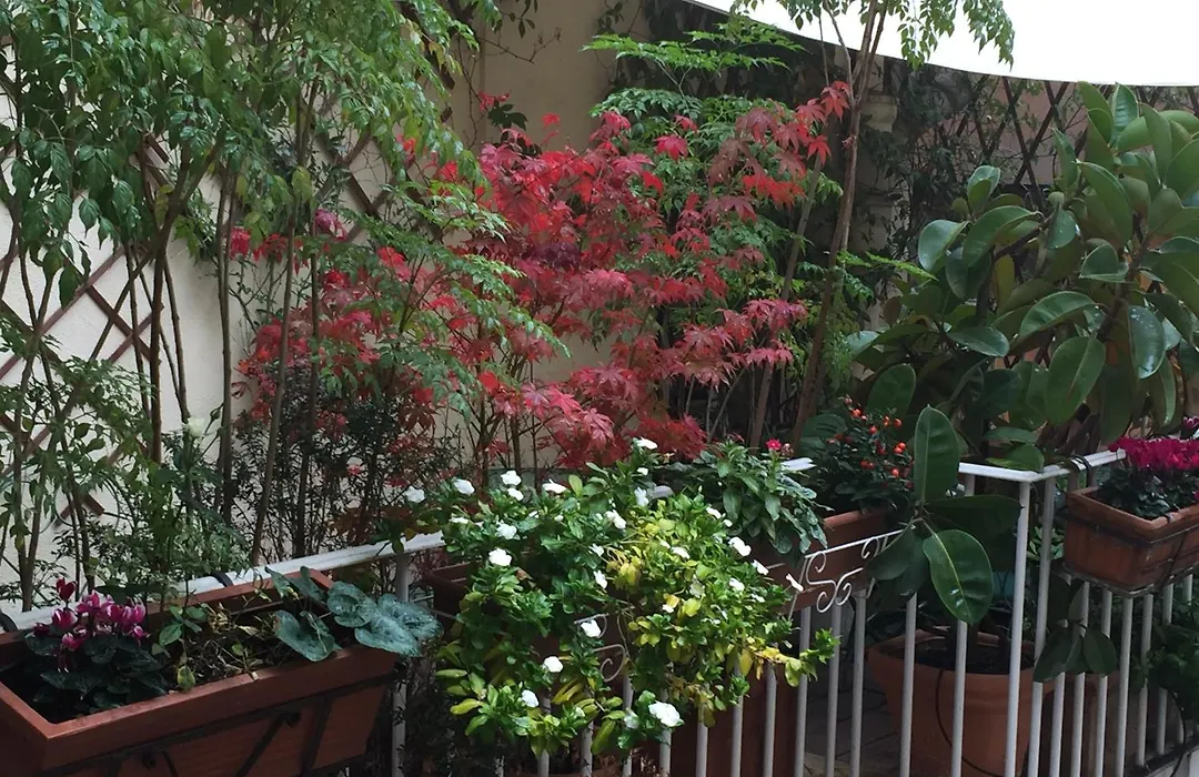 Relais Teatro Argentina-1
